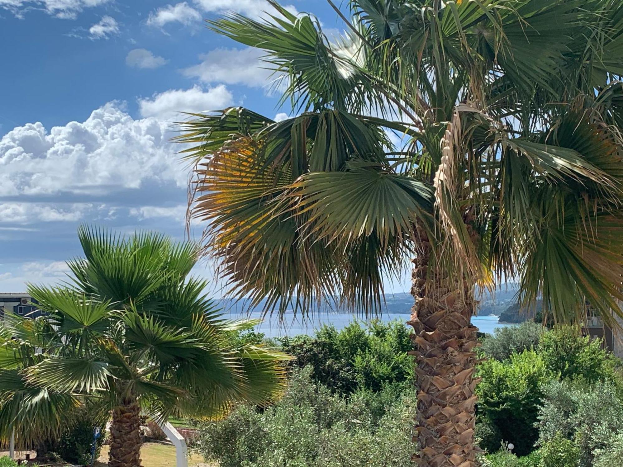 Villa Evita , Penthouse, 53M2 ,Athytos 450M From The Beach Afytos Buitenkant foto